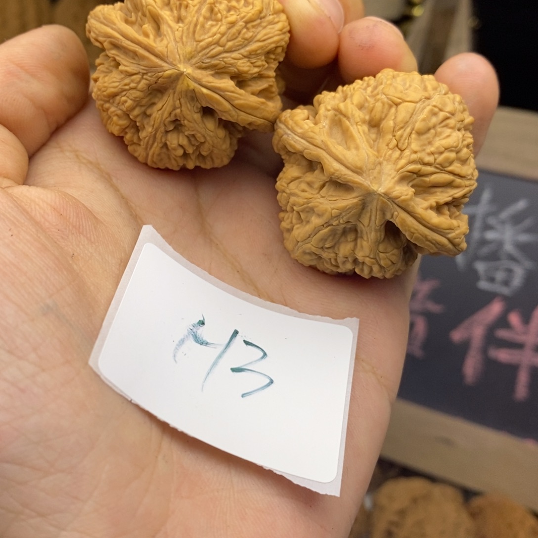H3大粗筋38核桃丢丢黄尖介意勿拍