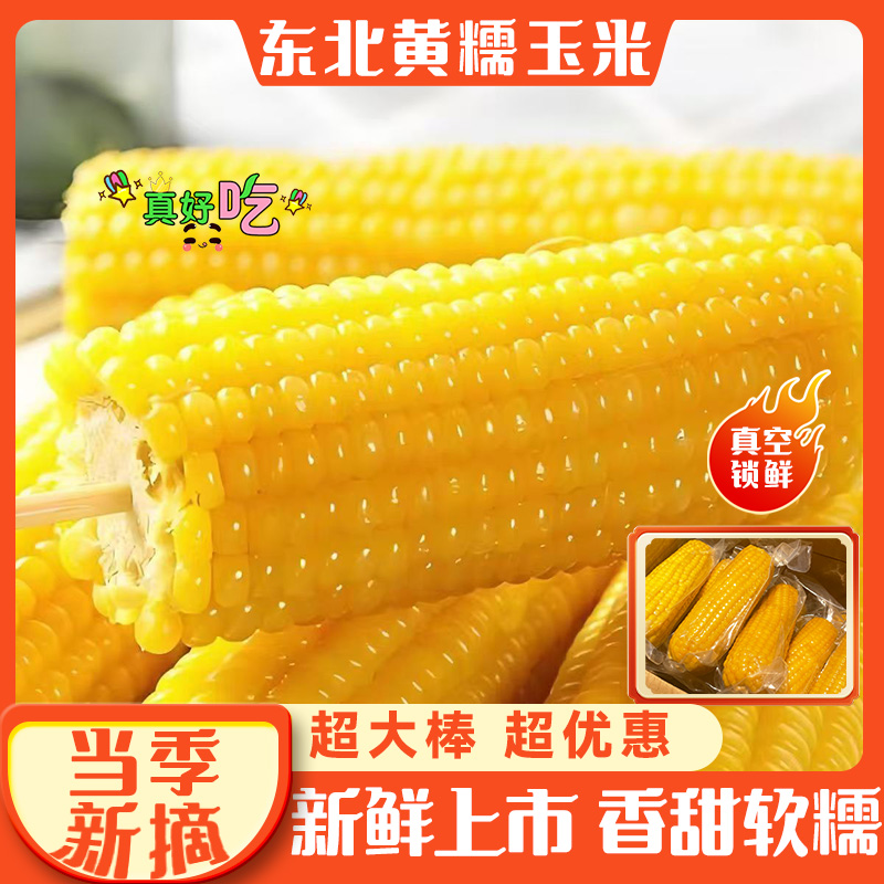 正宗东北黄糯玉米鲜香软糯早餐代餐真空包装整箱12支