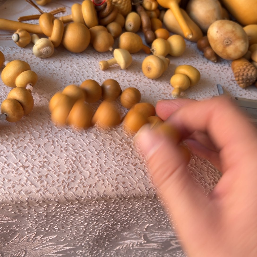 *️图旅途突突突突突突突突