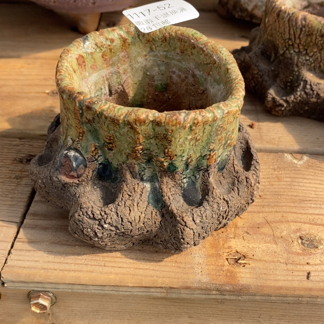 52号多肉盆口径6.5