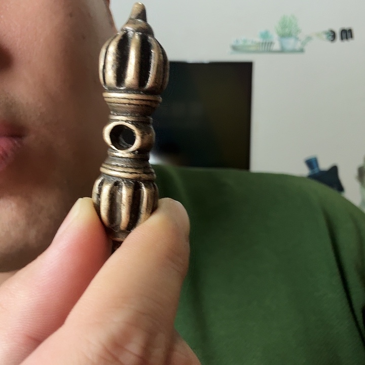 好看的好看的金刚杵