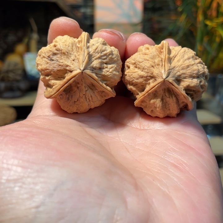 把件文玩核桃编号22