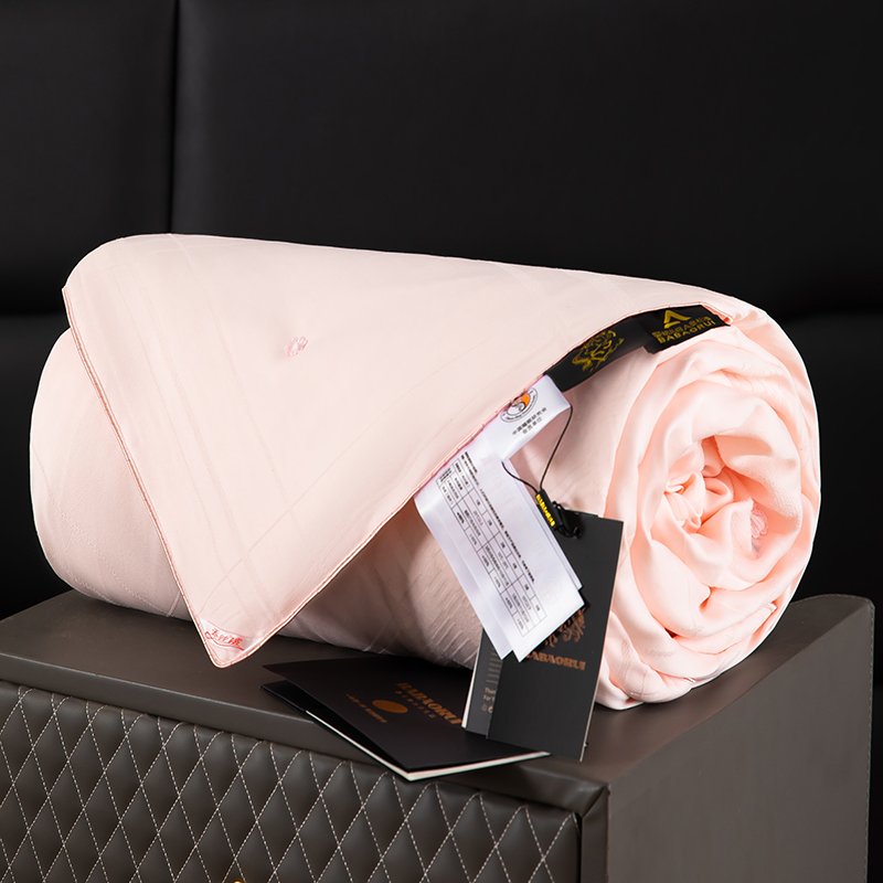 【芭宝瑞夏被】高端A类100%纯蚕丝被 夏凉被空调被双人被