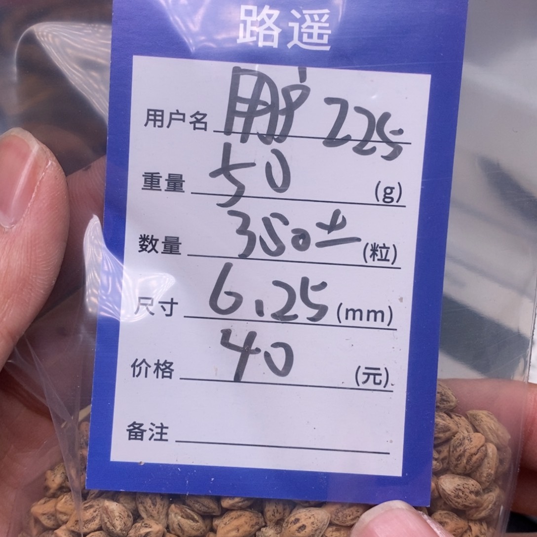 柏香籽/百香籽吊坠用****1