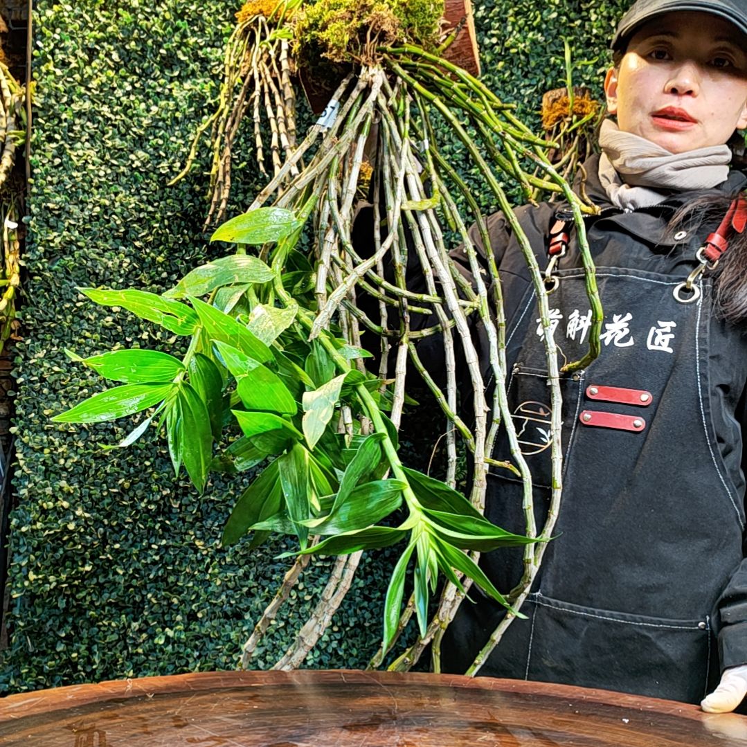 【闪购商品】167束花花卉