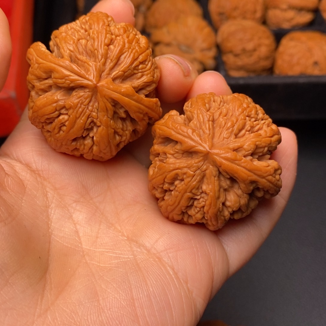 文玩核桃把件秦岭野生核桃