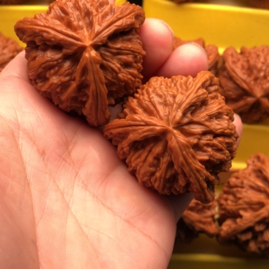 文玩核桃吊坠核桃