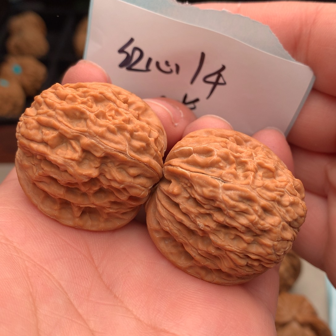 文玩核桃把件红心1000…………..