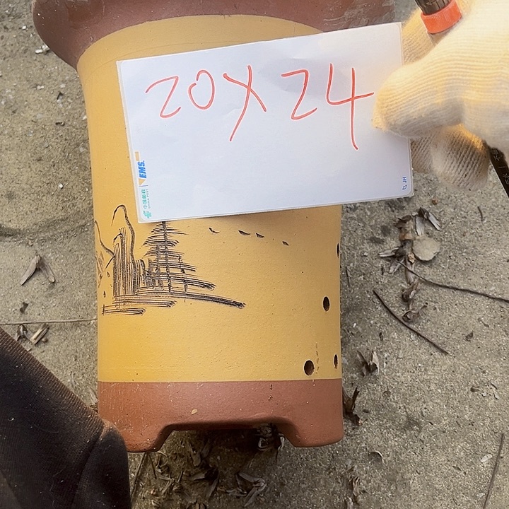 紫砂花盆3333333333