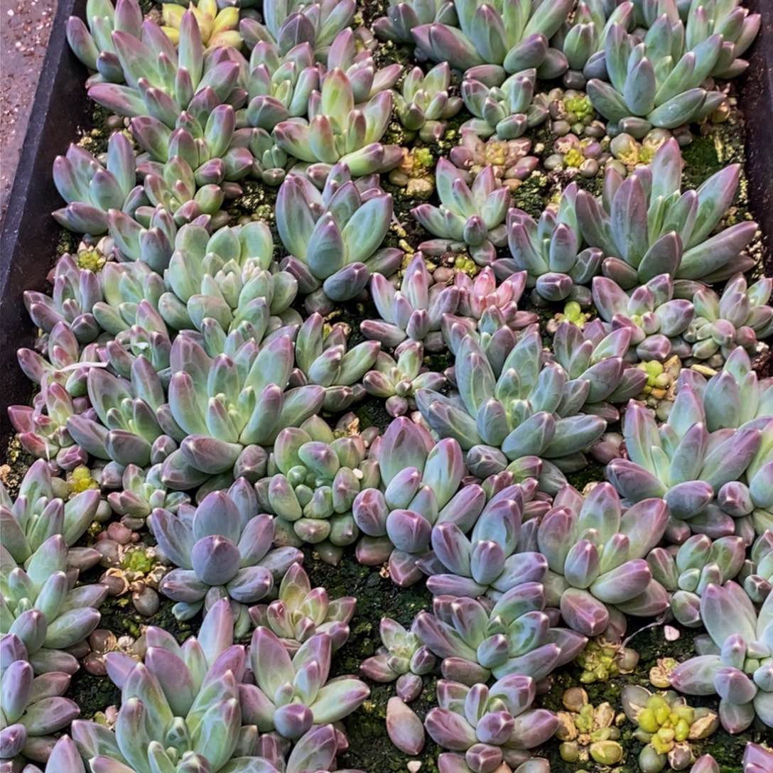 ?***?886的人和我一起去的