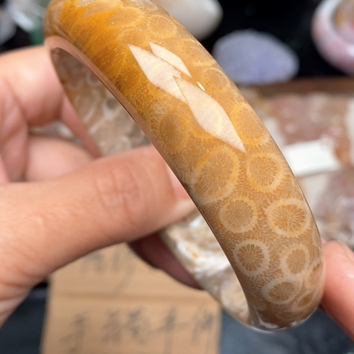 硅化珊瑚（珊瑚玉）手镯未镶嵌62