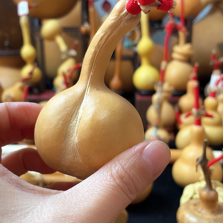 这****?葫芦岛连山区……好好用我一生