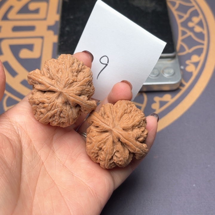 文玩核桃把件40大粗筋