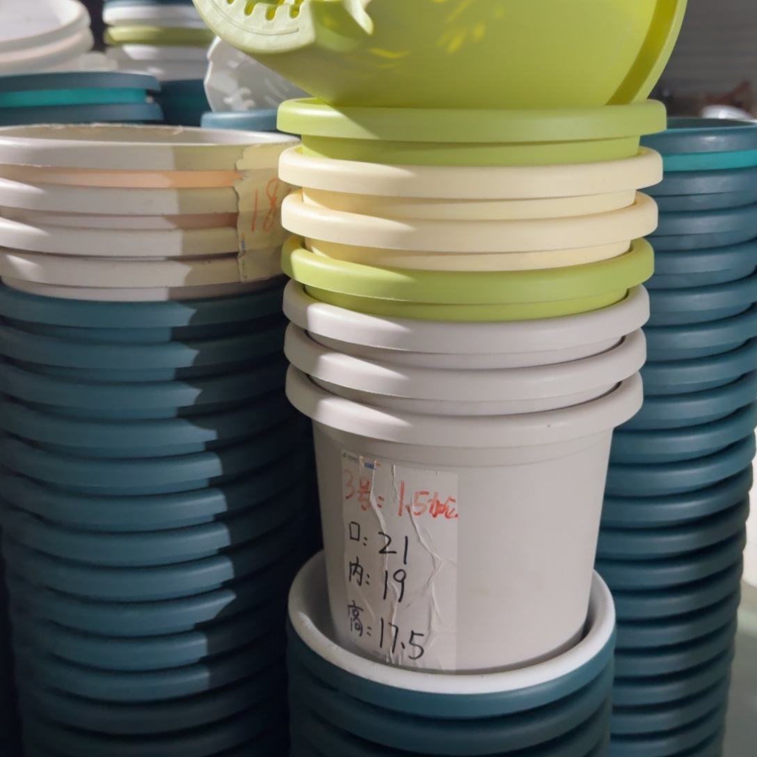 四季3#口径21无拖果绿10个