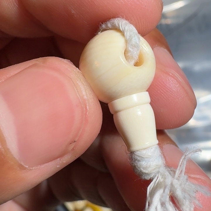 ****南吊坠菩提根/象牙果