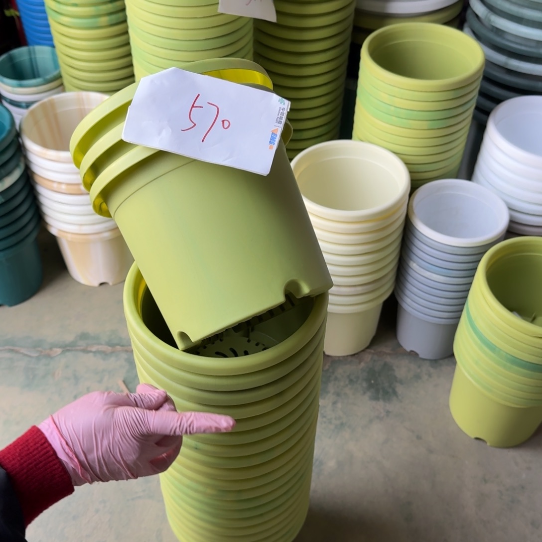 编号570口径21 串色 10个