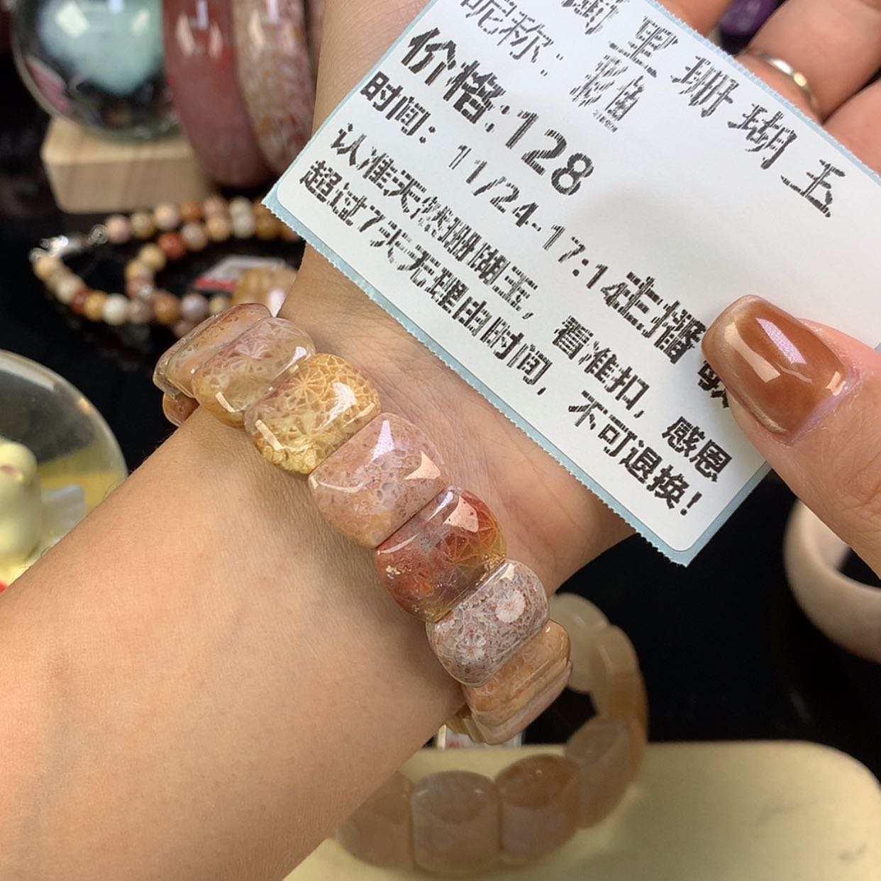 【闪购商品】颈饰未镶嵌硅化珊瑚（珊瑚玉）彩*