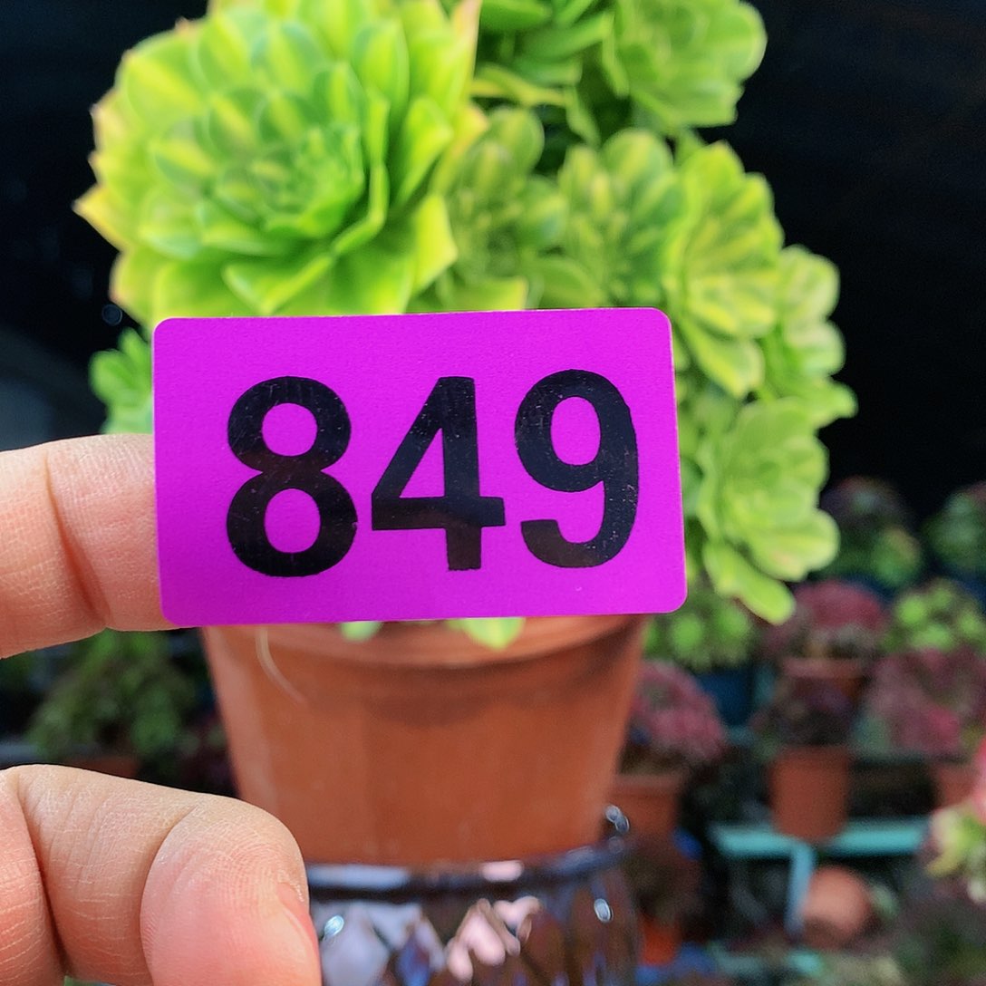 Hhgggghhhggggggg849