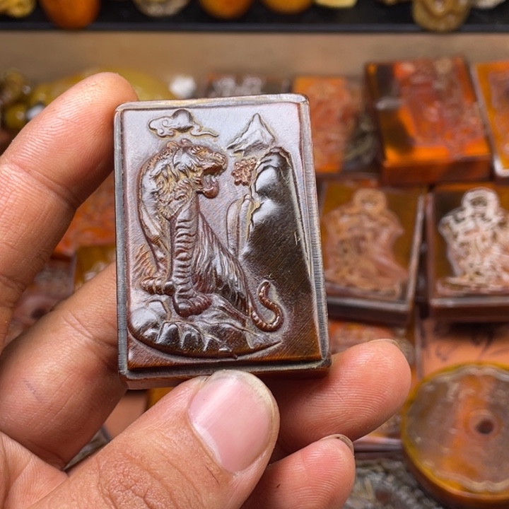 驼骨其他了*人工养殖