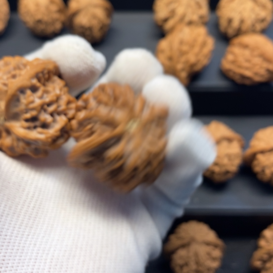 用****6秦岭南北缘是指长江