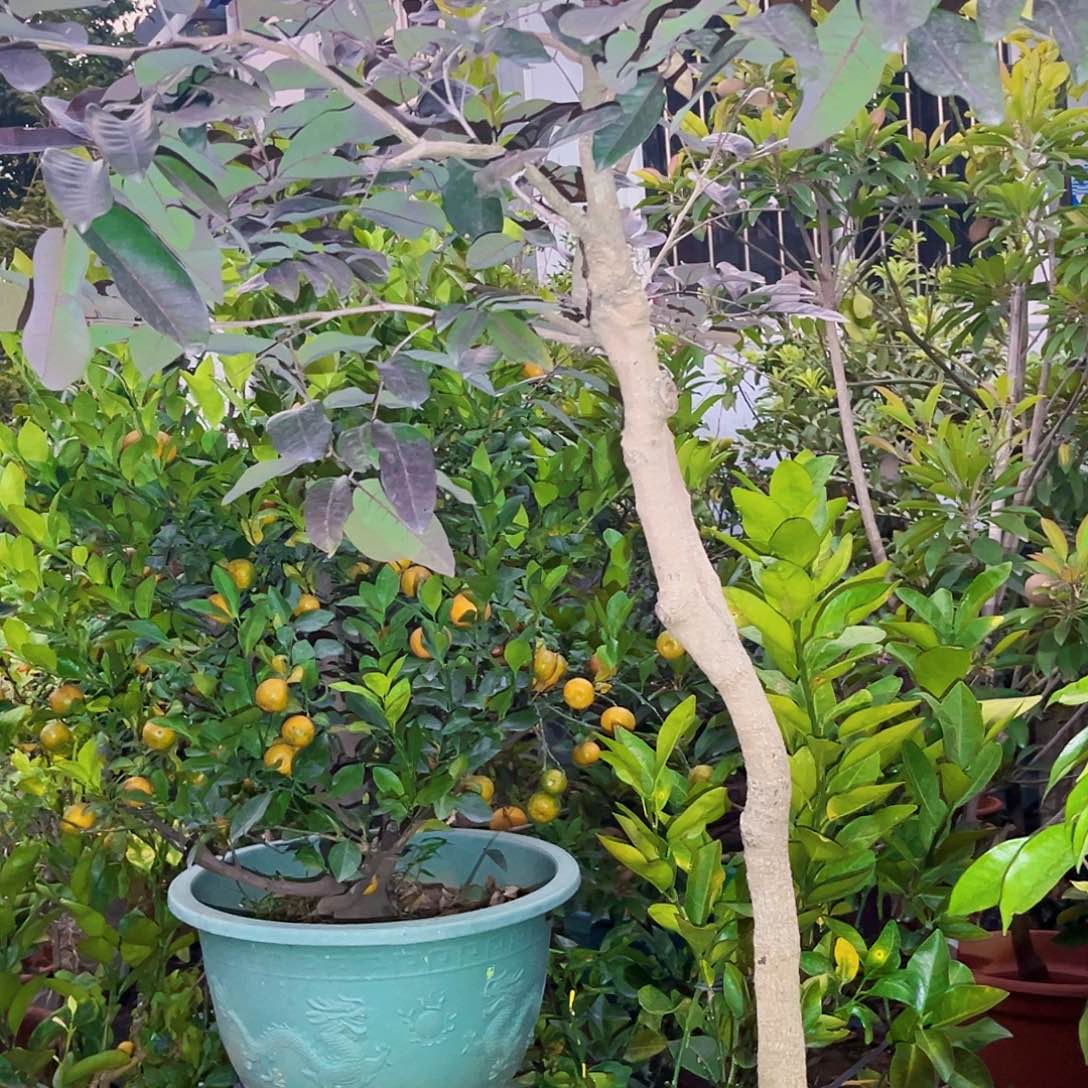 勇***前无花朵2468898632578731368244