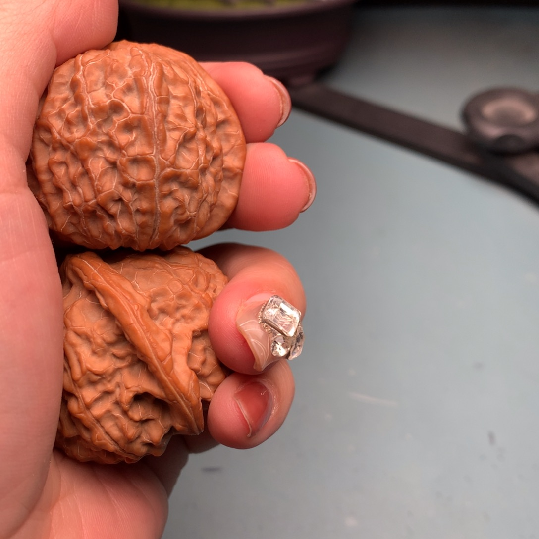 文玩核桃把件金麒麟4243