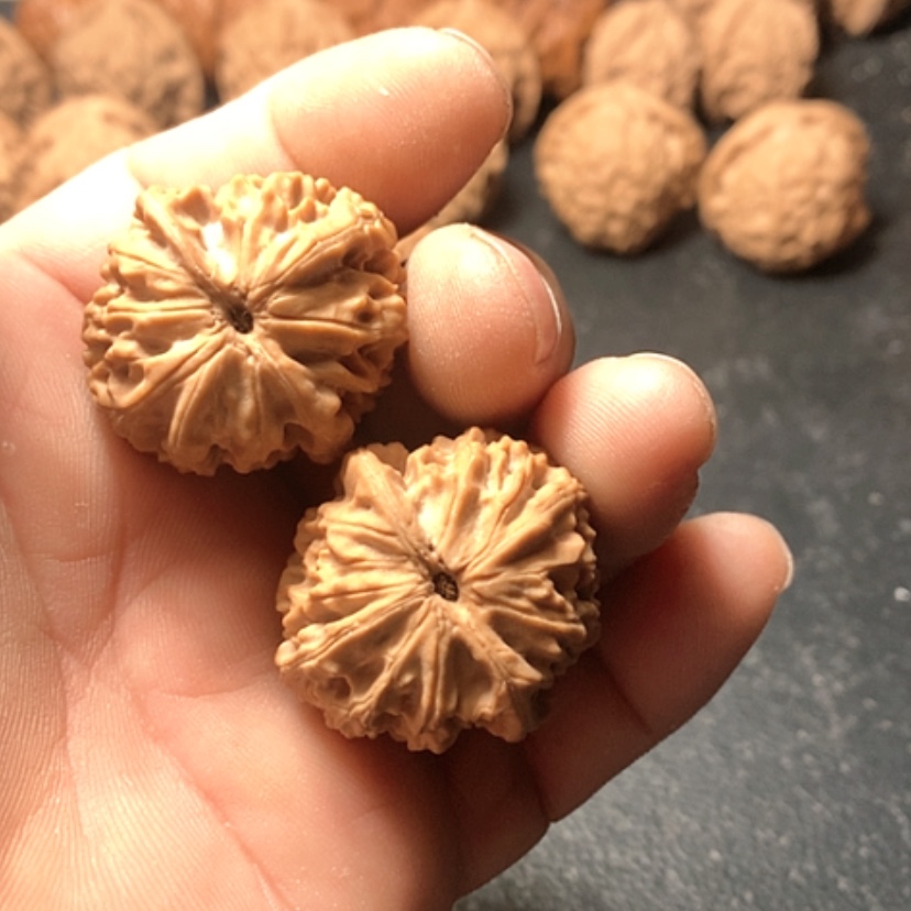 【闪购商品】风**顺龙眼