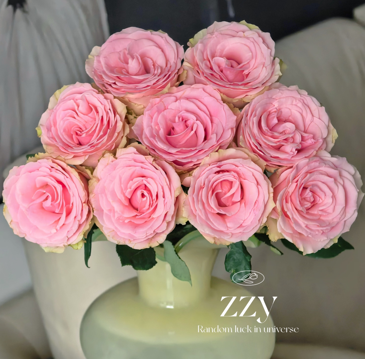 加购（不可凑单）满两单包邮可拍丨荷塘月色玫瑰10支】