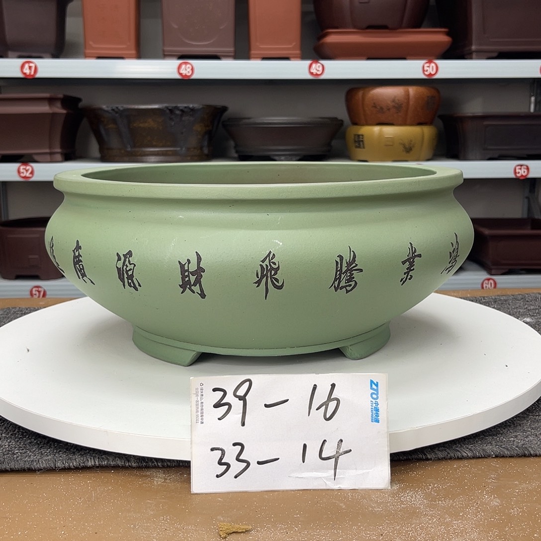 花盆紫砂早早睡觉