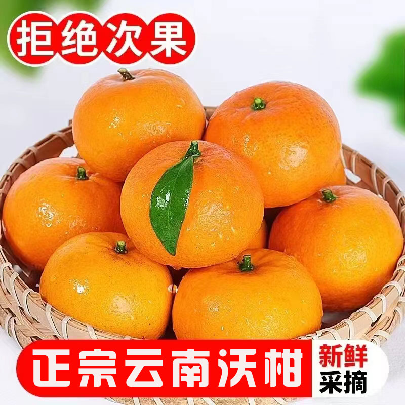 云南哀牢山高山沃柑应季水果新鲜采摘原产地直发