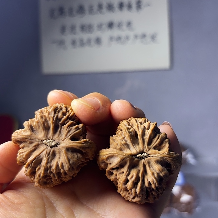 有***盔南疆石狮子头一对