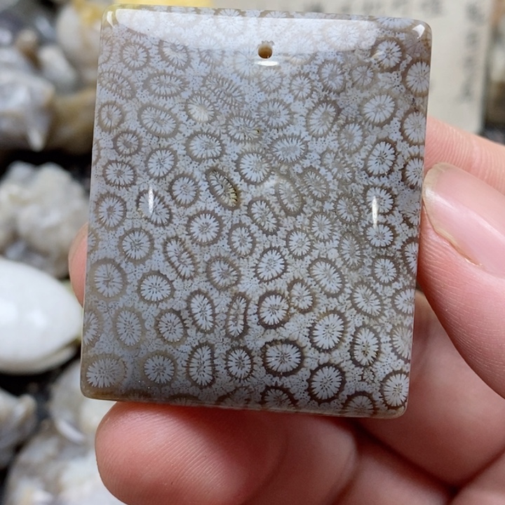 颈饰未镶嵌硅化珊瑚（珊瑚玉）