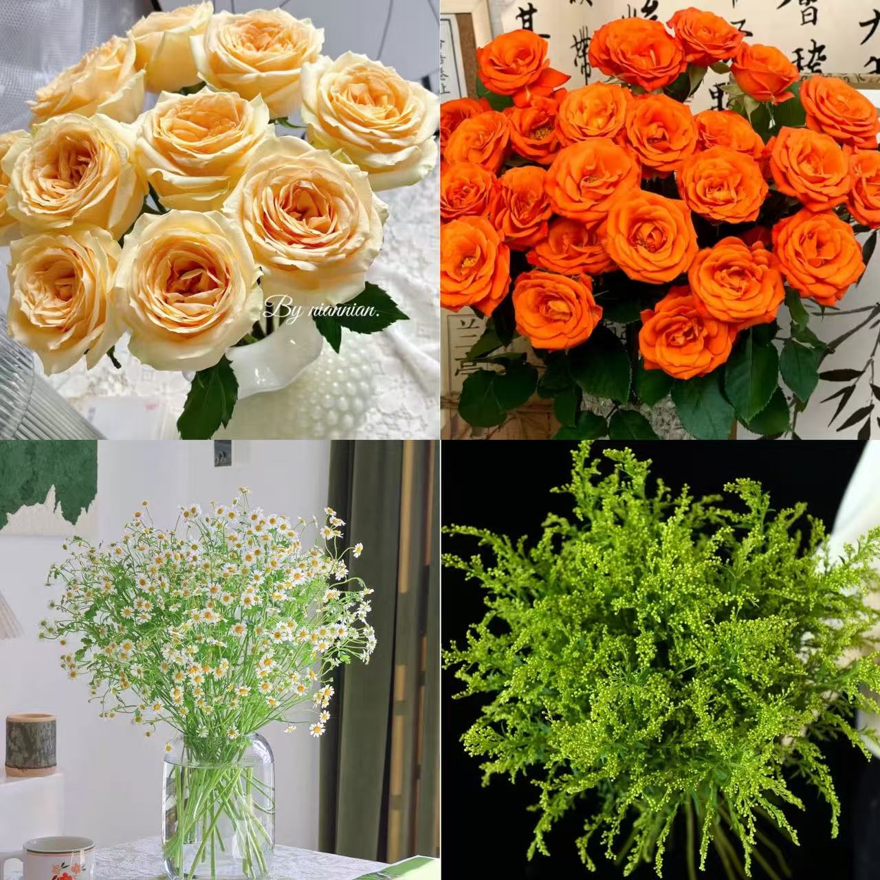 【沉沉专属】10枝香槟+橙色芭比多头玫瑰5枝+洋甘菊1扎+黄莺1扎