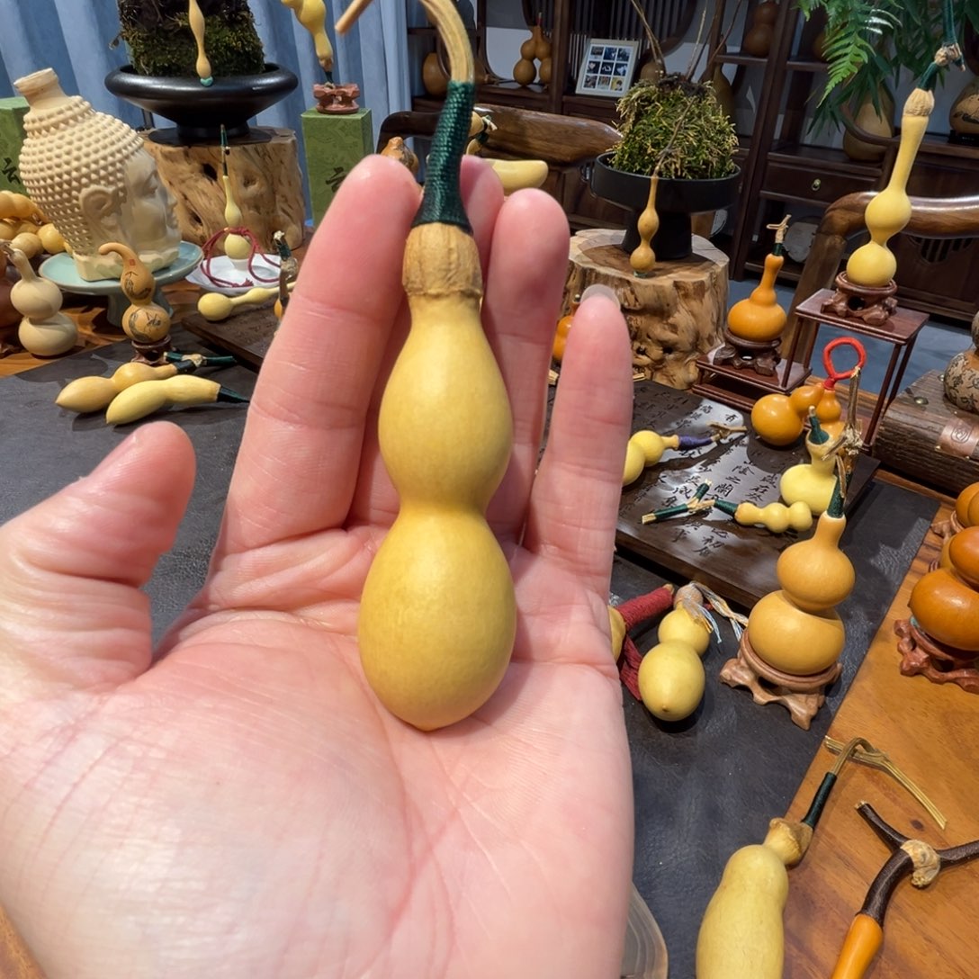 永***远重返校园的时候