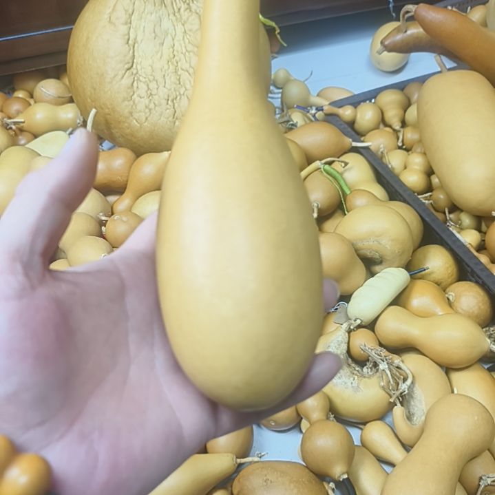 不知道啥出的葫芦