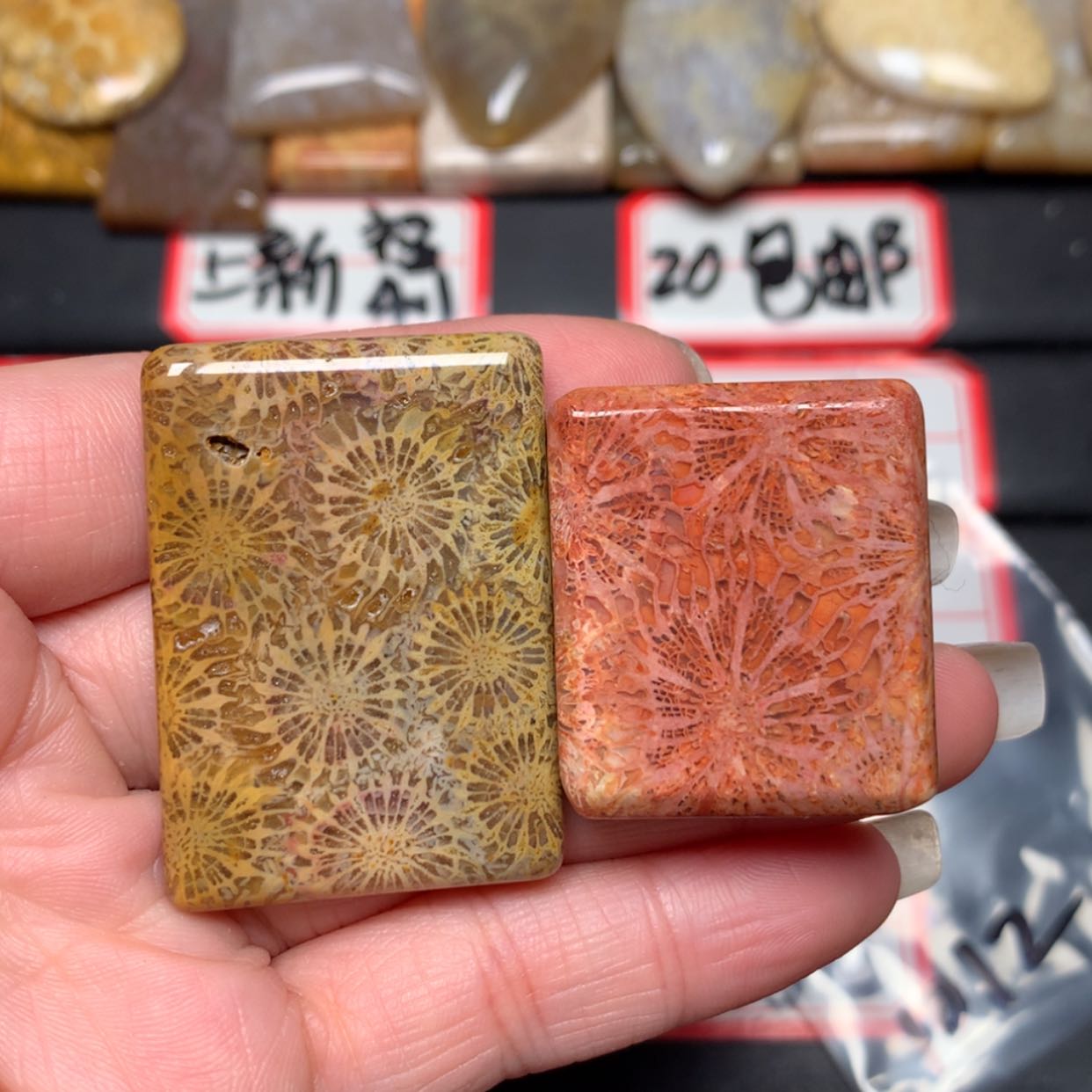 【闪购商品】未镶嵌颈饰硅化玉一**缘