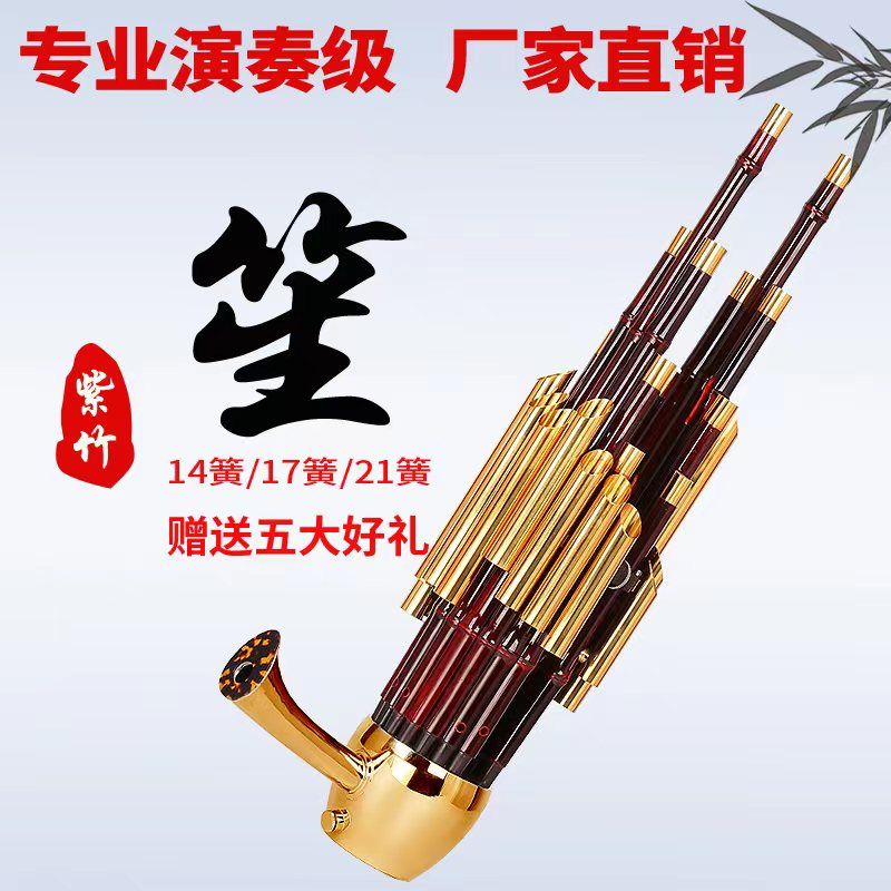 笙乐器14簧17簧21簧初学者专业演奏笙紫竹圆笙方笙厂家直销