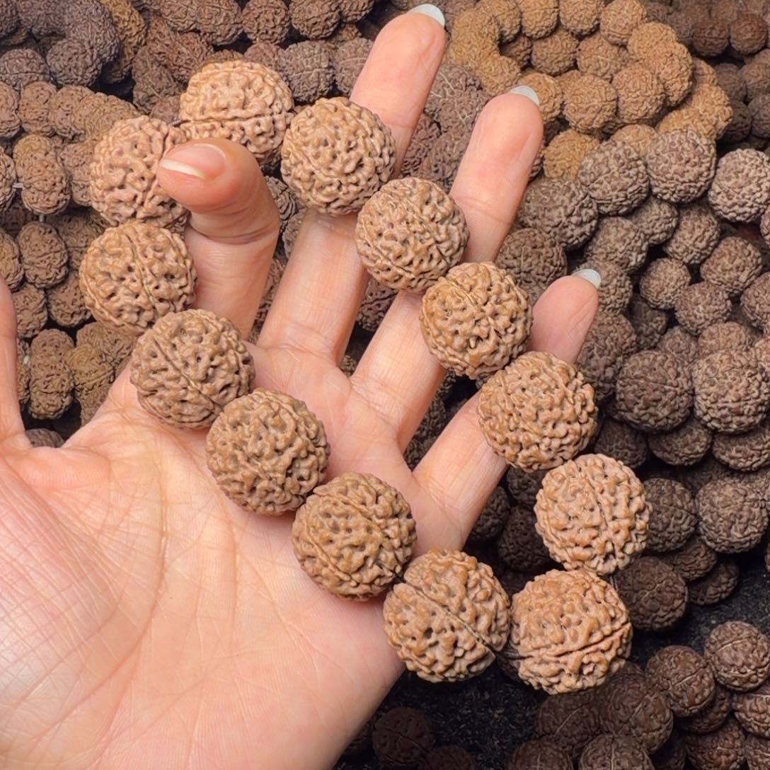 手串金刚菩提6瓣卡21尺，31号，