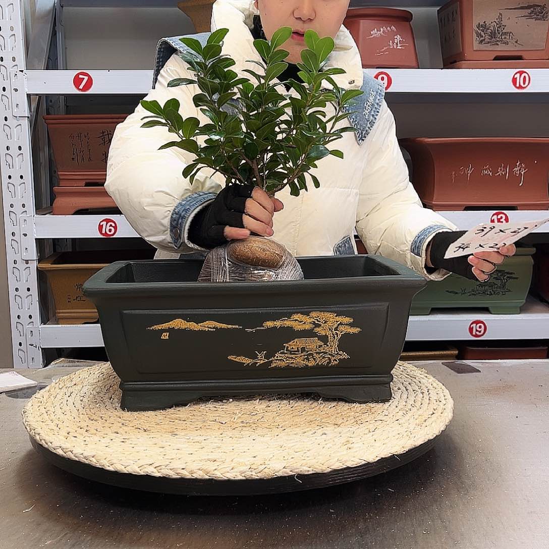紫砂花盆紫砂花盆