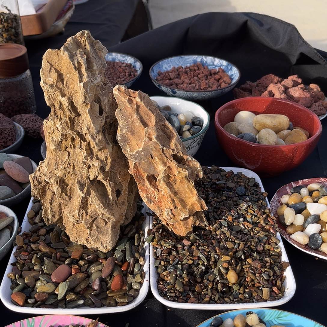 夏冰松皮石一物一拍