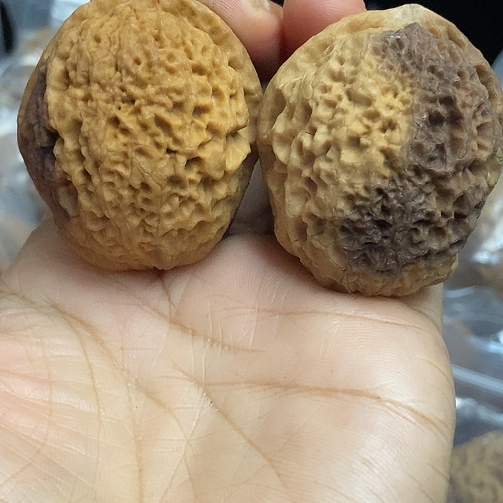 把件文玩核桃云南铁核桃基地37