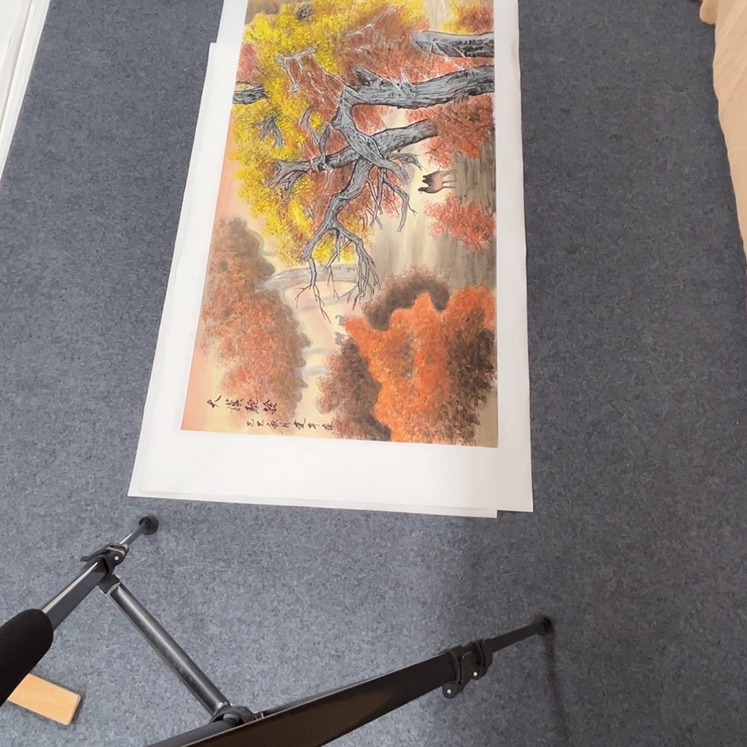 国画精品手绘作品