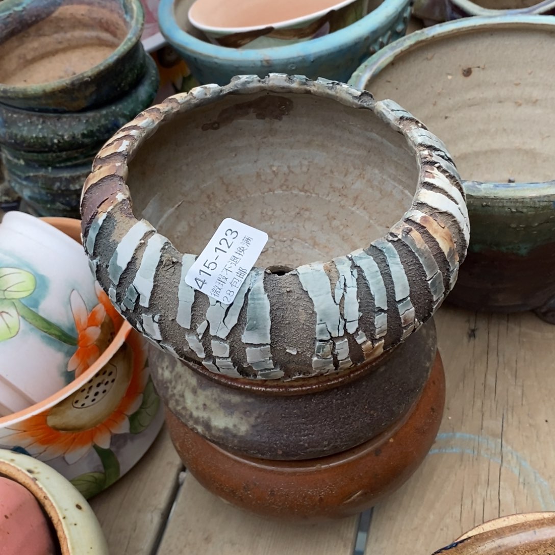 木*子123号多肉盆一个呀