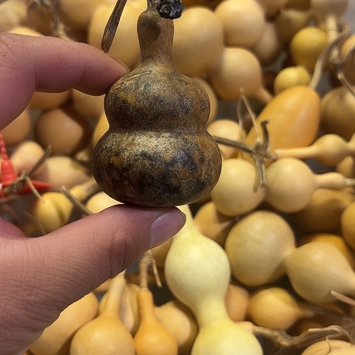 星***辰有机玻璃蚂蚁蚂蚁蚂蚁蚂蚁