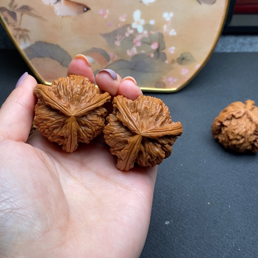 啊****¥白狮子11111111111克