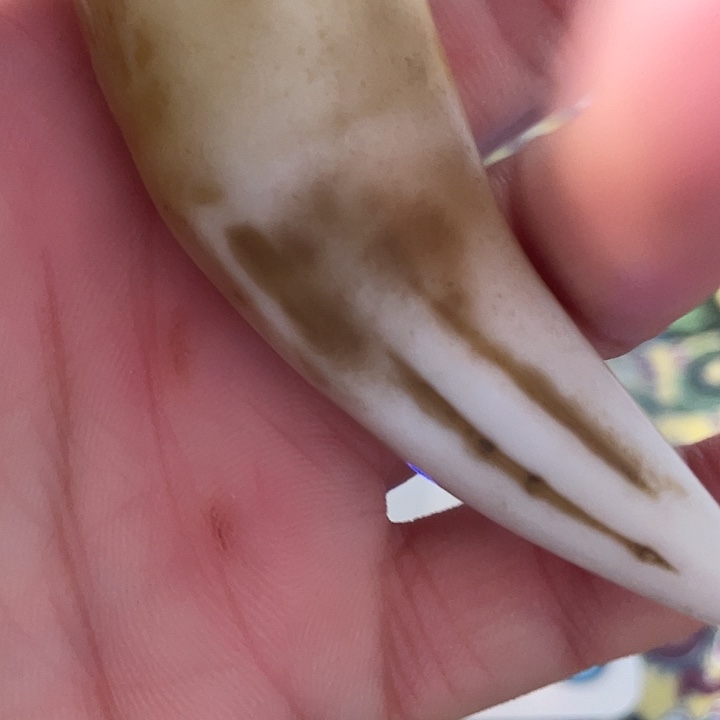 祼****瓷片健健康康快快乐乐