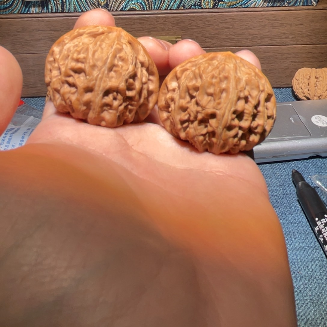 文玩核桃把件555566556666