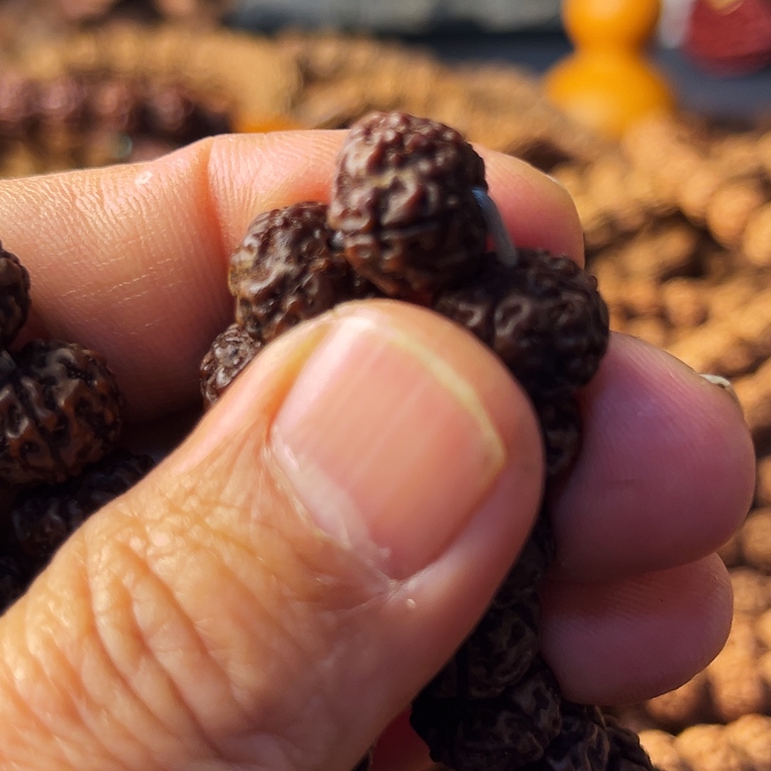 风***哥吊坠金刚菩提小金刚精品老树王