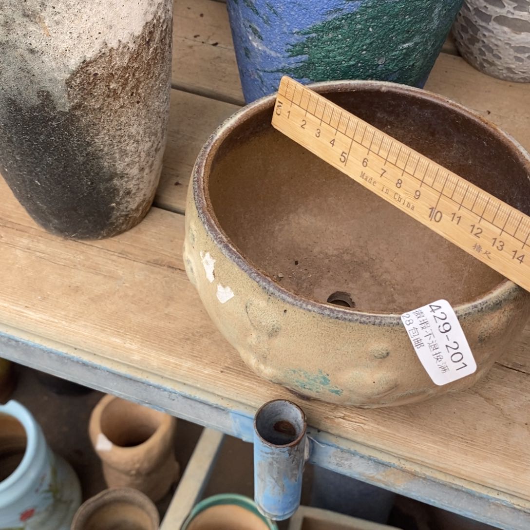 201号多肉盆一个呀