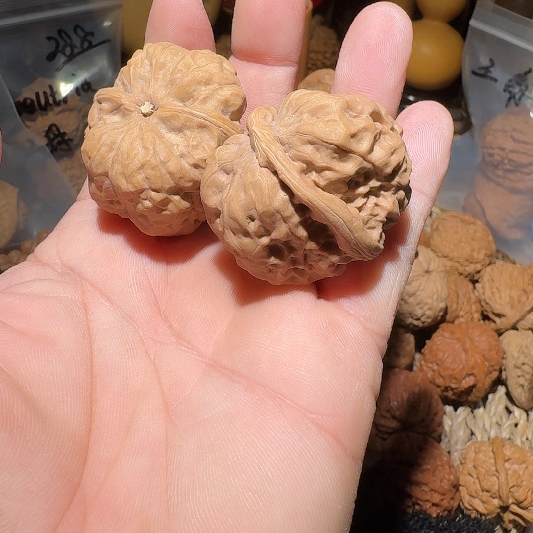 核桃嘎嘎的蛤蟆头